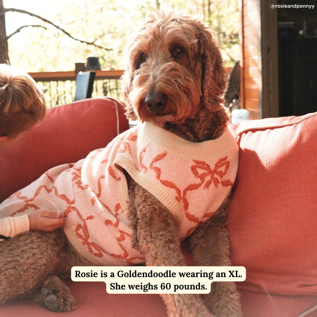 Coquette Ribbons Pet Sweater