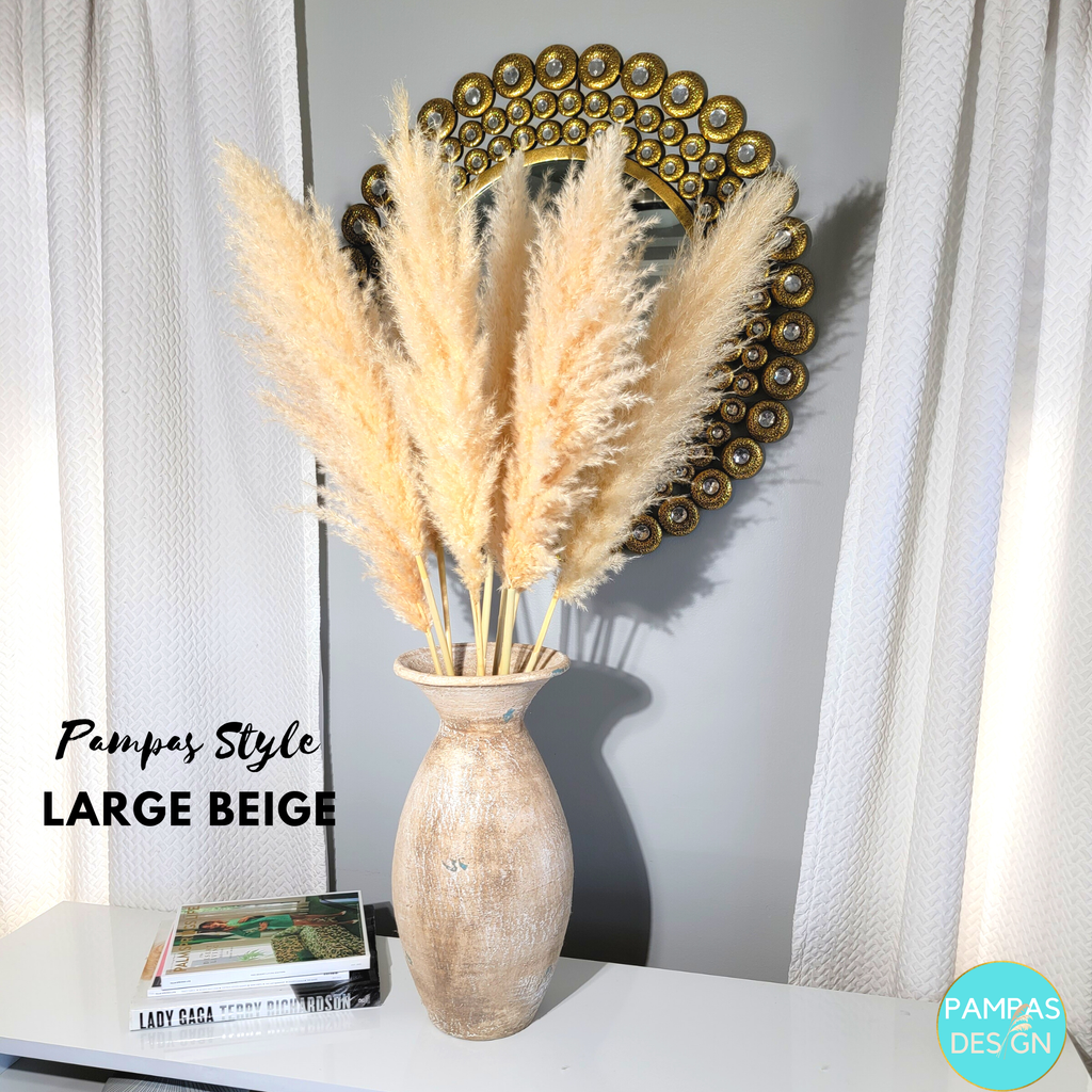 Pampas Grass Large Stem 3.5ft to 4ft Tall Soft and Fluffy