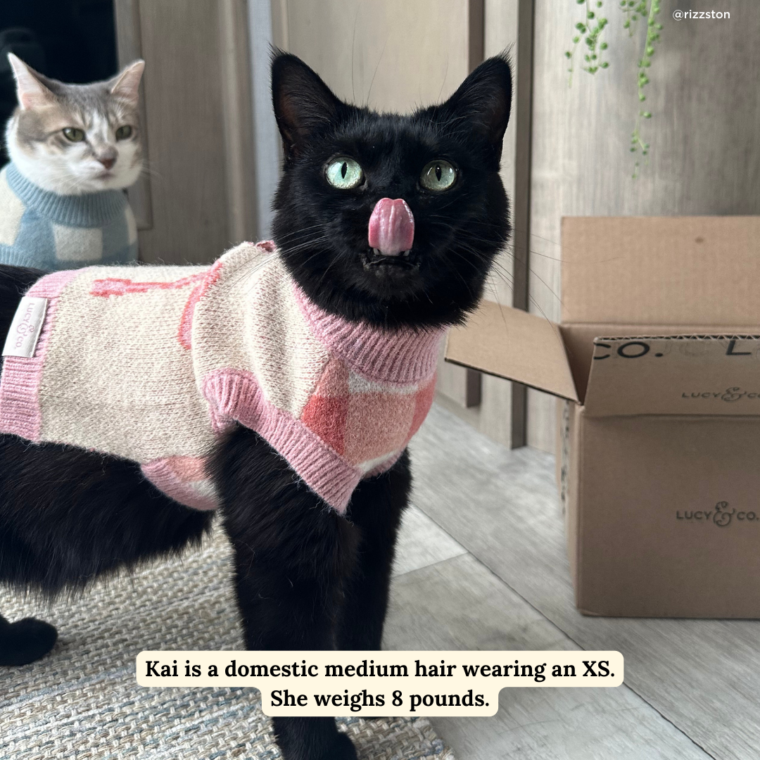 Take a Bow Dog Sweater