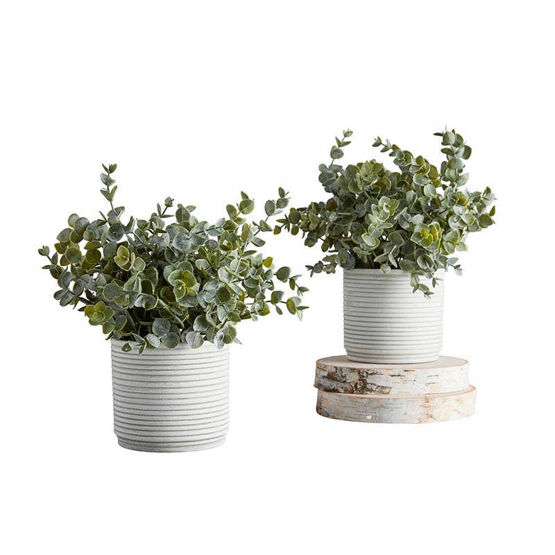 Artificial Plants - White Pot