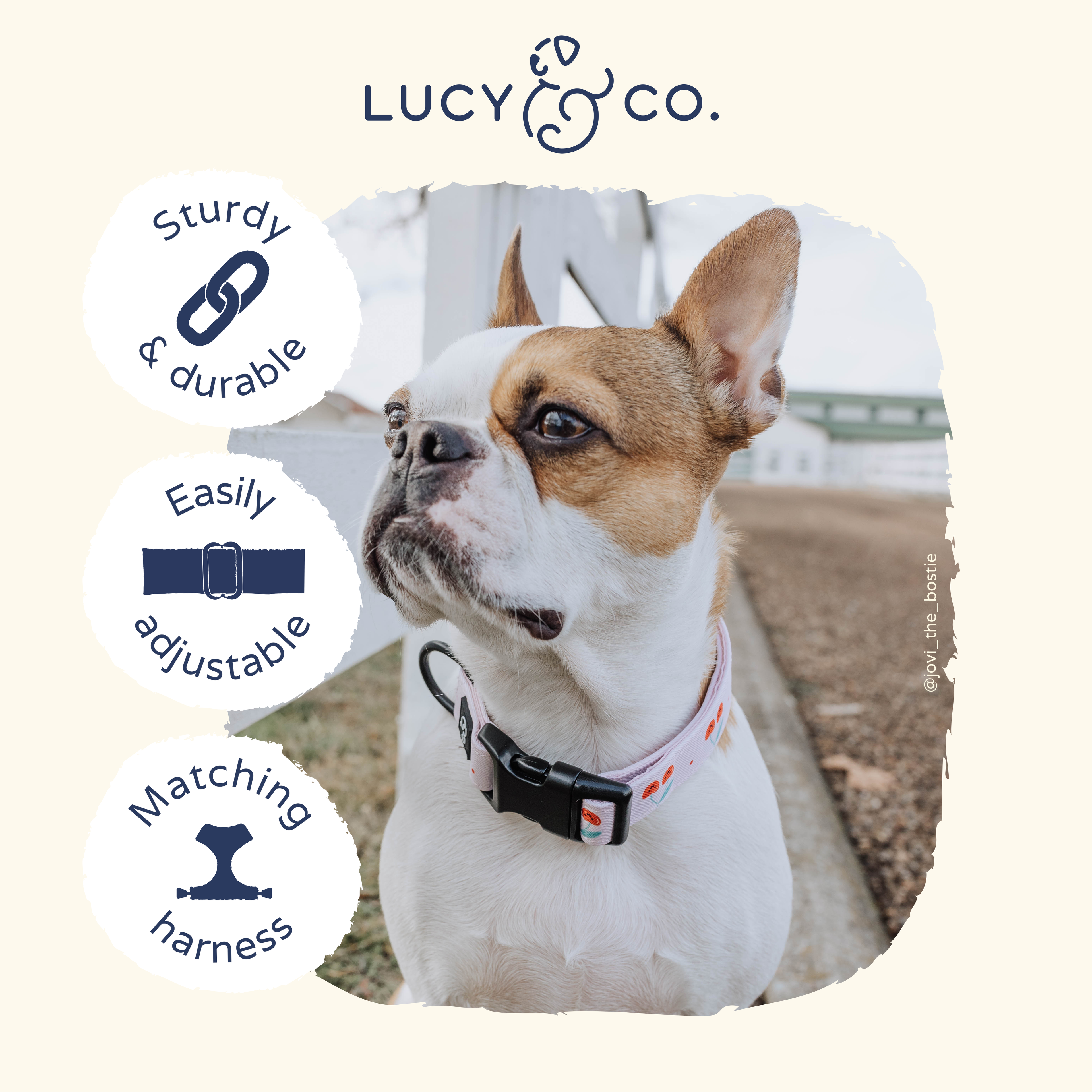 Cheery Cherries Dog Collar