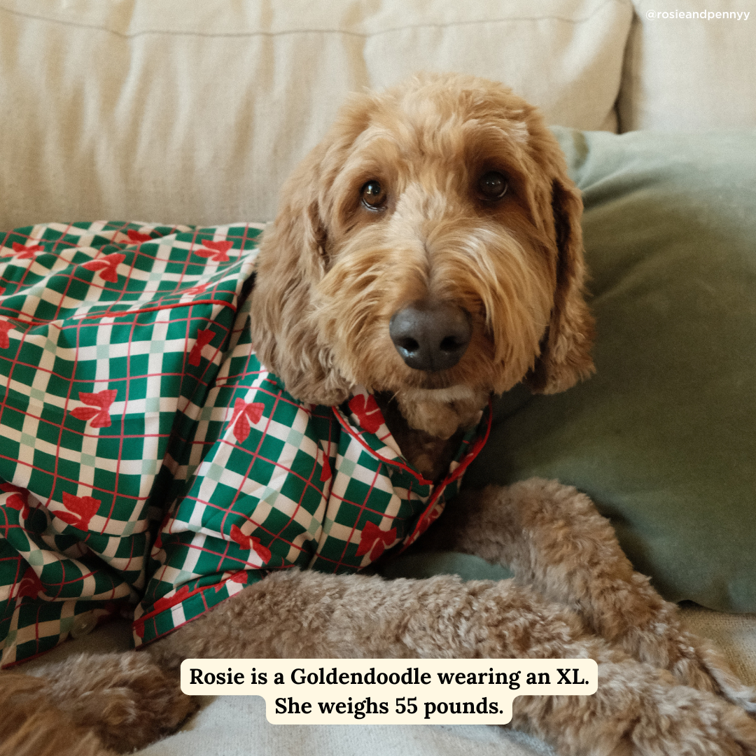 Howliday Bows Dog Pajamas + Human Eye Pillow
