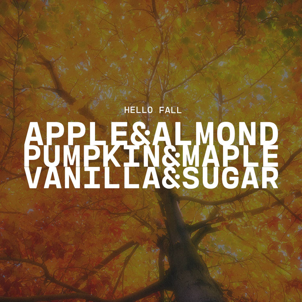13 oz Mason Jar Fall Candle: Hello Fall
