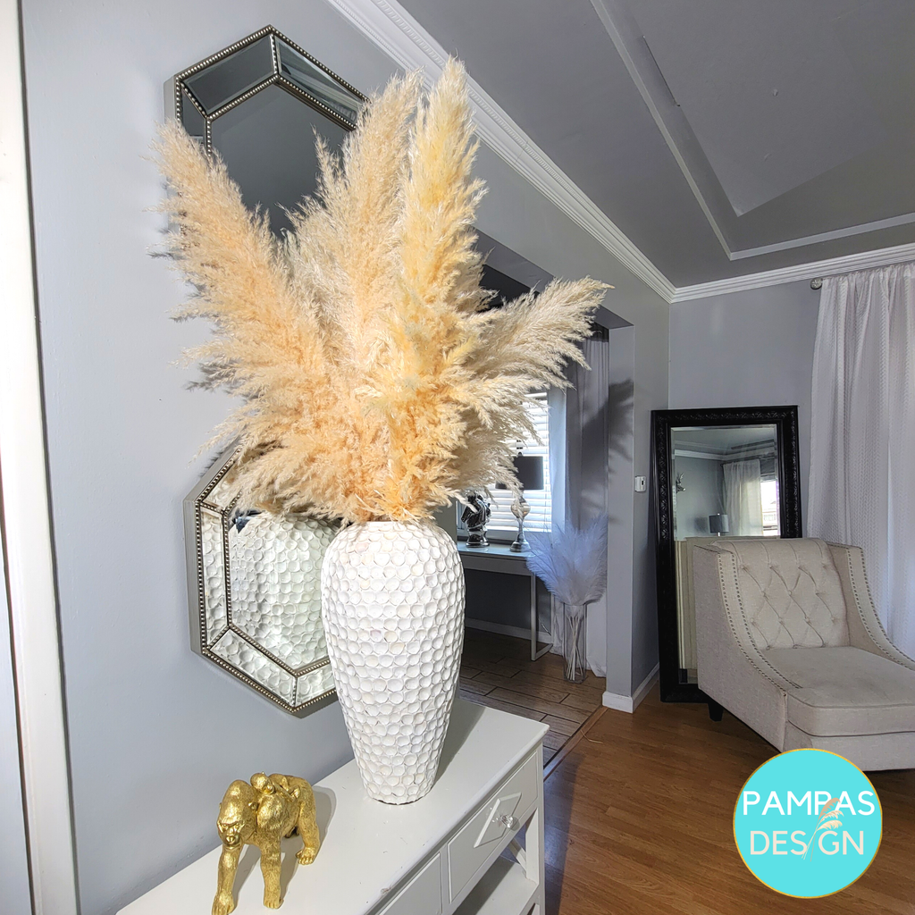 Huge XL Fluffy Pampas Grass 1 Stem (3.5ft to 4ft Tall)