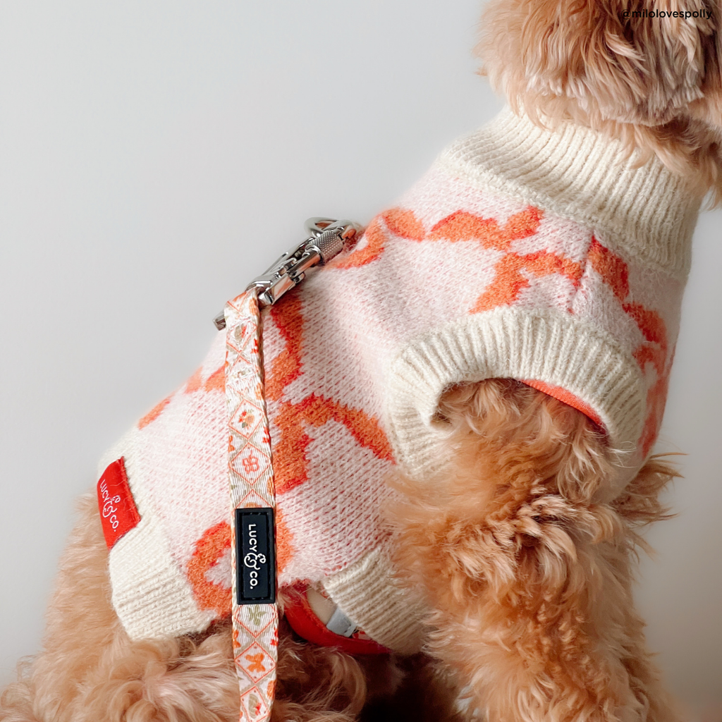 Coquette Ribbons Pet Sweater