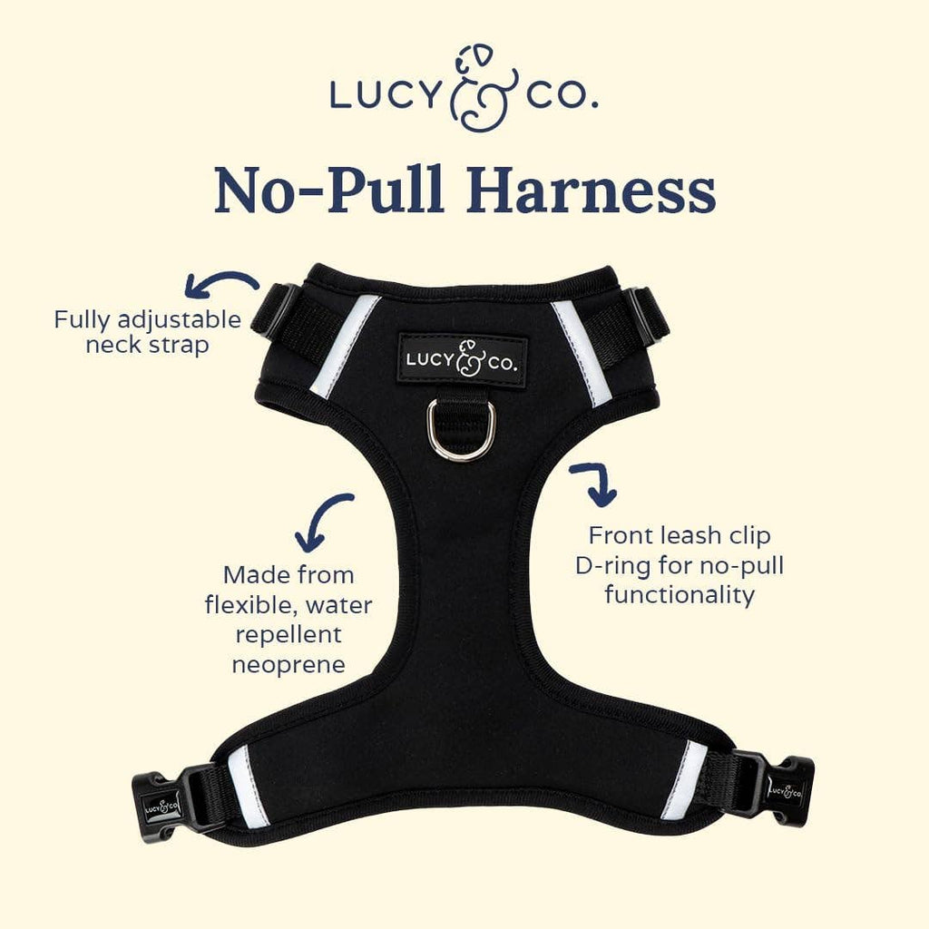 Midnight No-Pull Dog Harness