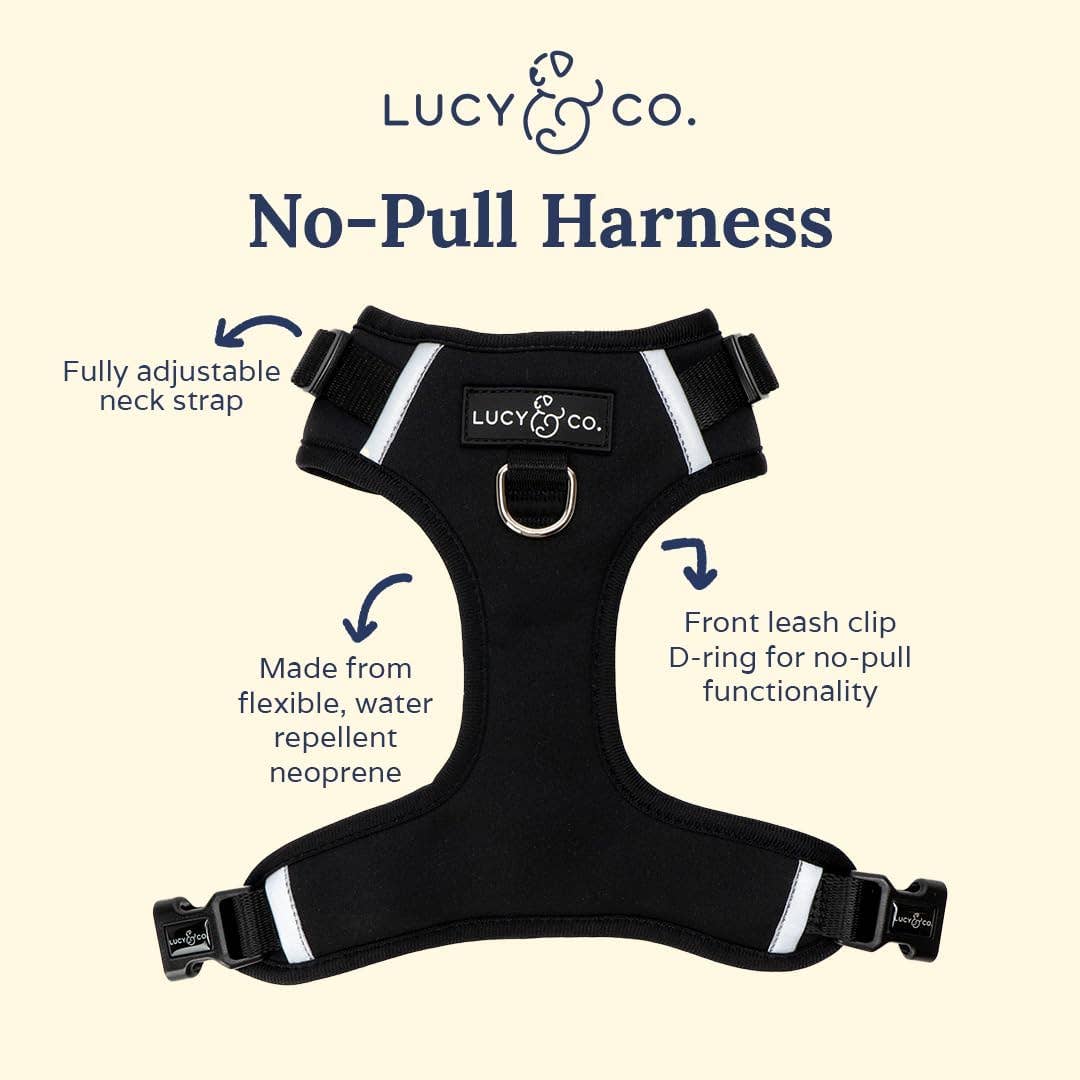 Midnight No-Pull Dog Harness