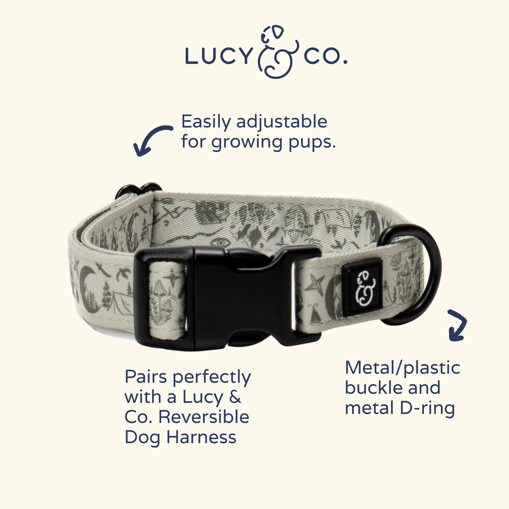 Camp Out Dog Collar