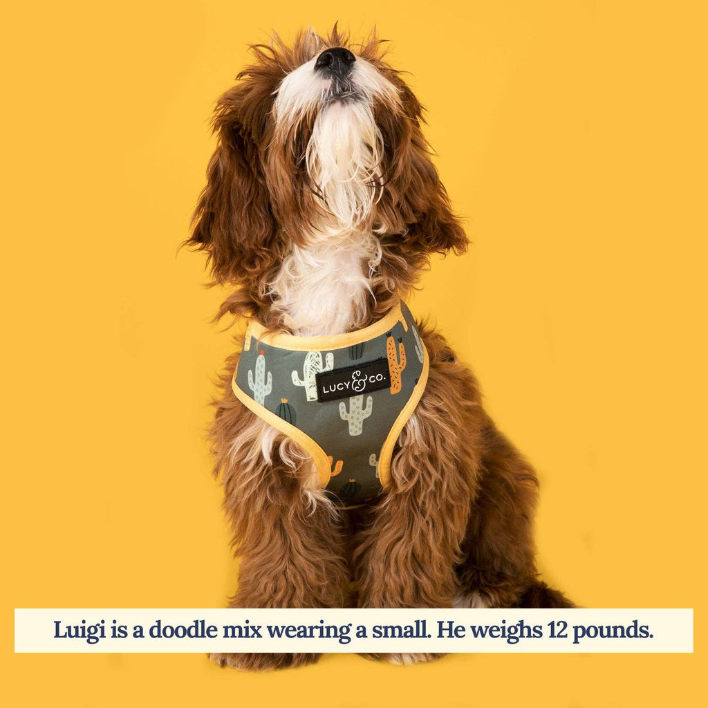 Looking Sharp Reversible Dog Harness