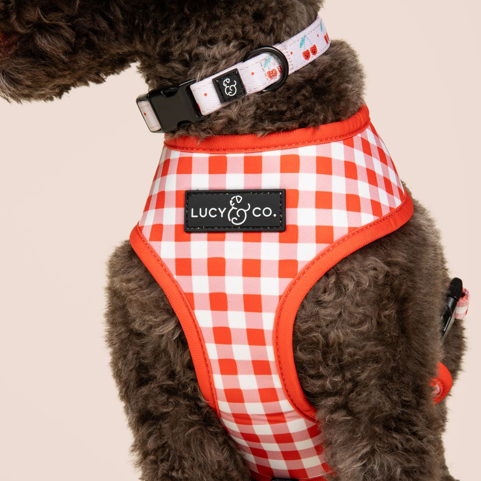 Cheery Cherries Dog Collar