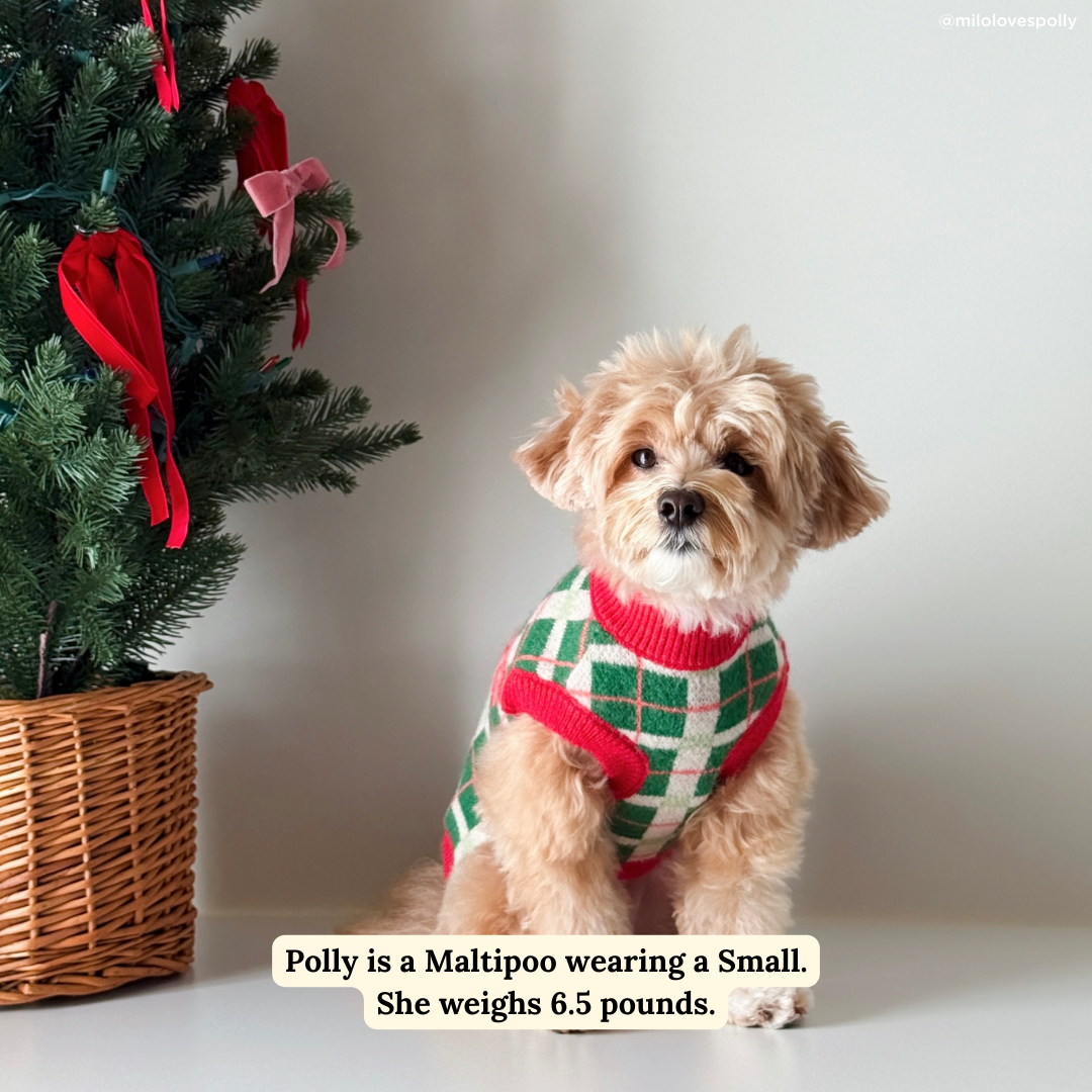 Happy Howlidays Dog Sweater