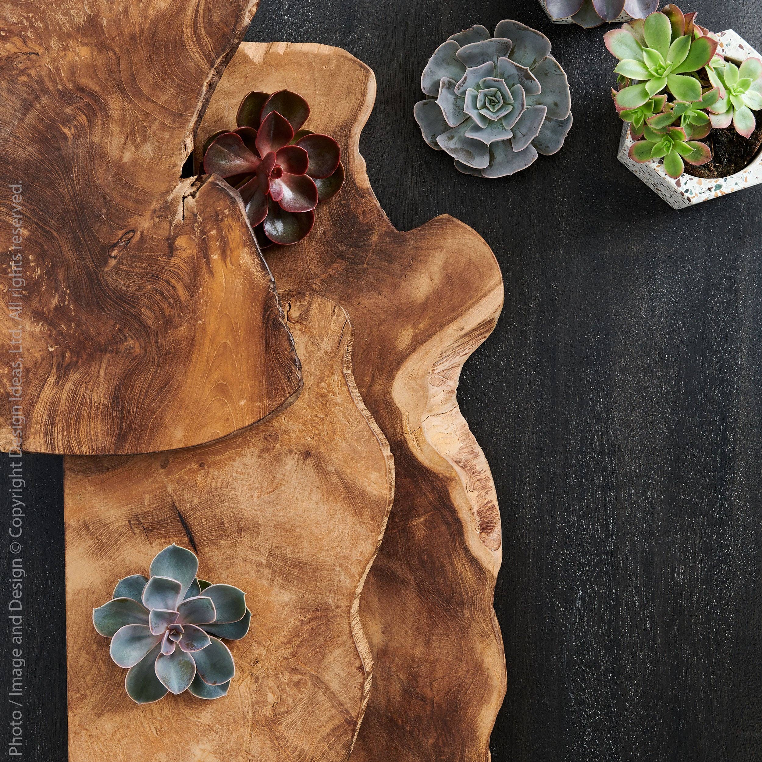 Takara™ live edge shelf (24 x 10 in.)