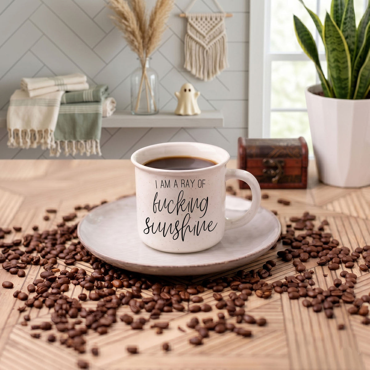 Ray of F'n Sunshine
