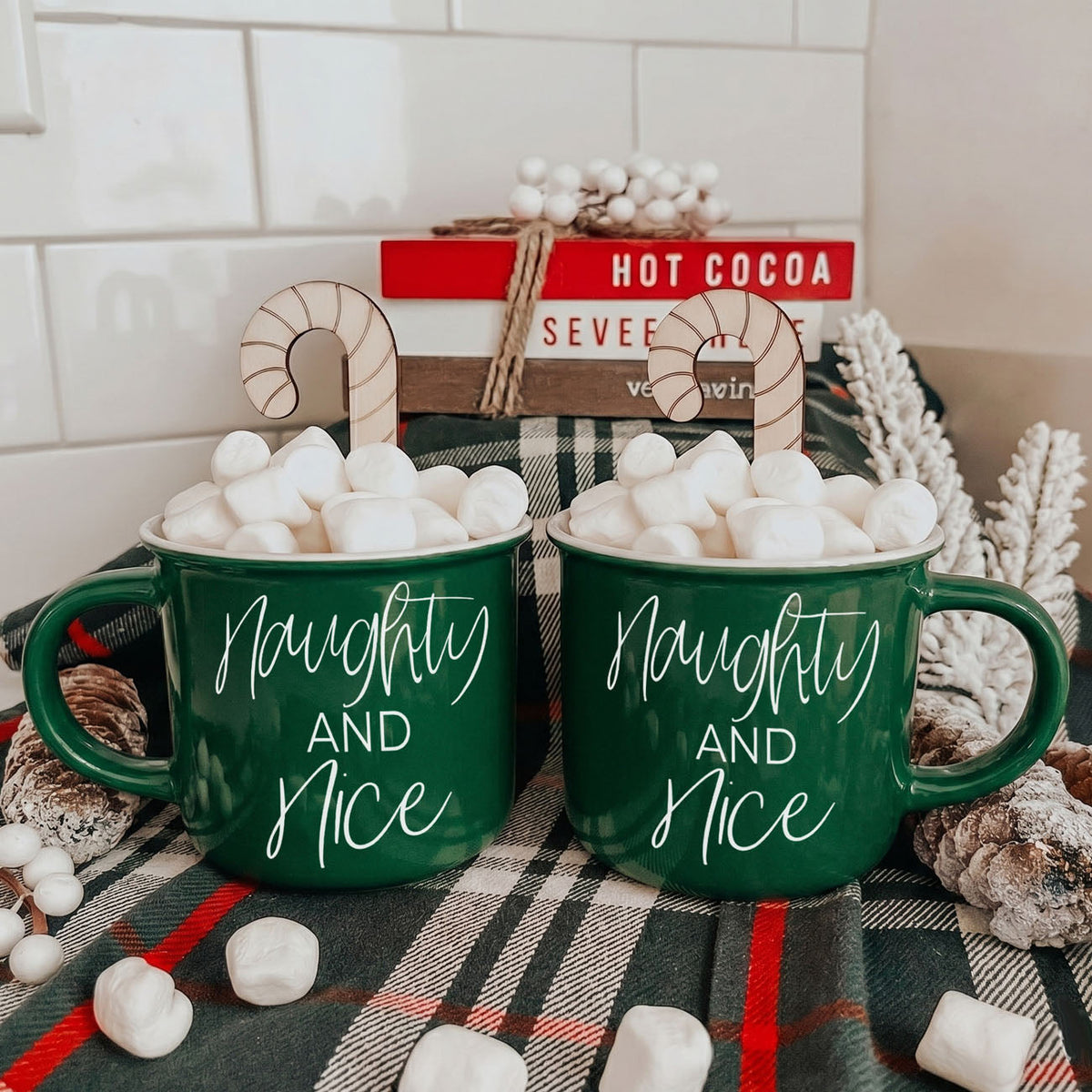 Naughty & Nice Mug